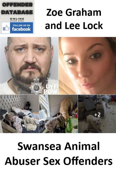 Animals sex offenders animal owners xxvidios. .  <a href=https://shitekan...