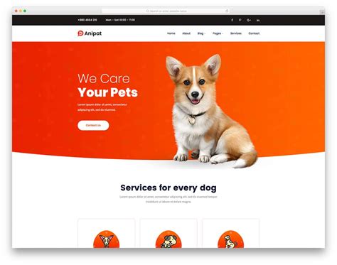 Anipat Pet Care Website HTML Template DesignHooks