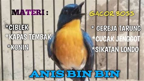 Bebek 168 slot trending