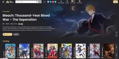 Substitute for Aniwatch.me. Aniwatch.me just got taken down so I was wondering if someone had a substitute for the site. I know there are plenty of sites to stream anime on and I can find them on the piracy megathread, but I'm looking for something that looks as polished and clean as aniwatch that might not be on the list..