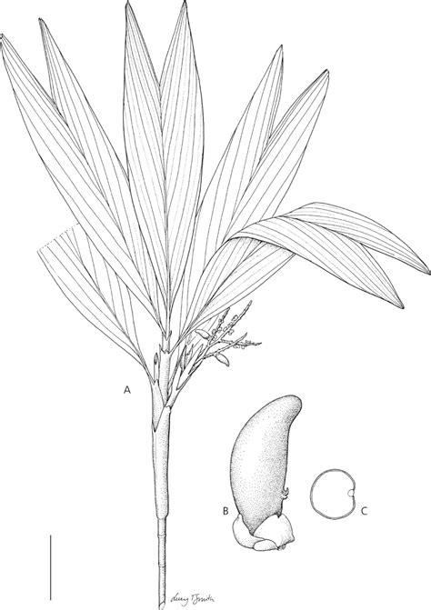 Anjae Onlyfans Leaked 💋 (SEX)