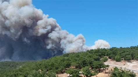 Ankara’da orman yangını Nallıhan Ankara Bolu Eskişehir Haber. 