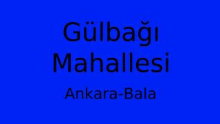 Ankara Bala Gulbagi Mahallesi terapi halı yıkama