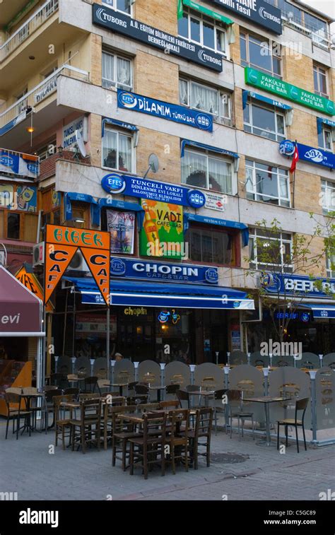 codini.rgarabwor.edu.pl. 