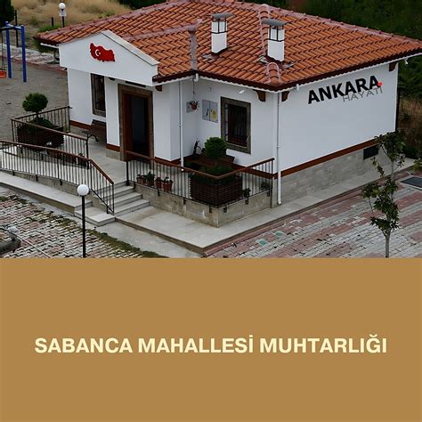 Ankara Polatli Sabanca Mahallesi terapi halı yıkama