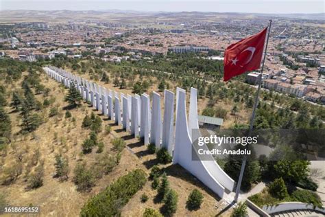 Ankara Polatli Sakarya Mahallesi terapi halı yıkama