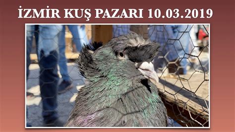 Ankara güvercin pazarı 2019