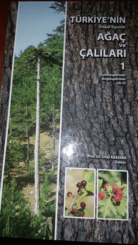 Ankara nın ağaç ağaççık ve çalıları
