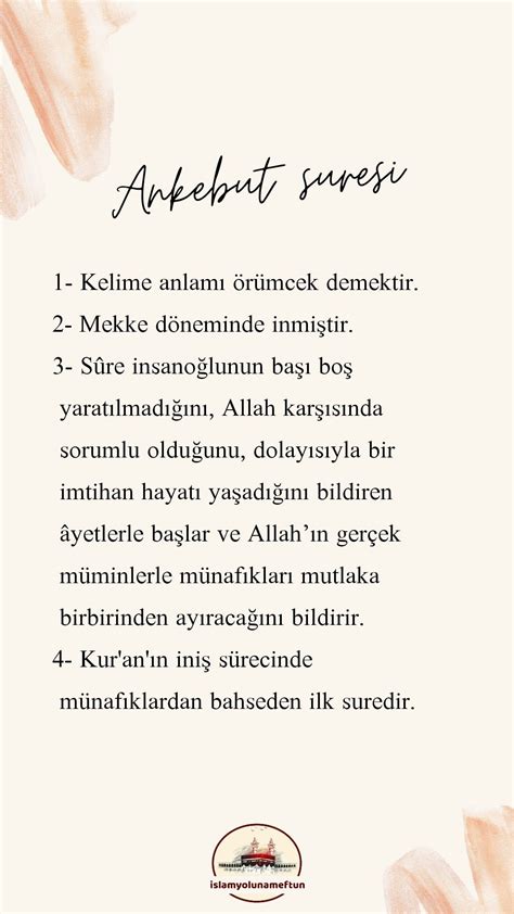 veodersti.rgarabwor.edu.pl. 