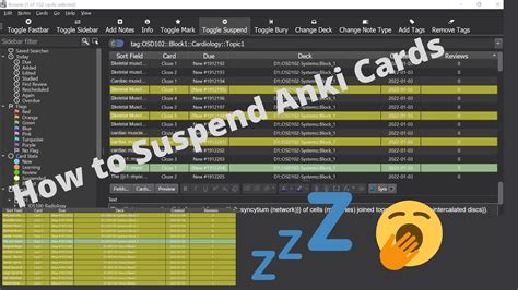 Anki Tutorial How to Suspend Cards YouTube