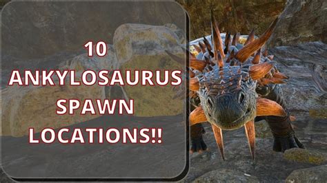 Ankys do spawn in the desert region of Lost Island, the snowy mountains, and Zaunaloa, but I prefer Bin Da. It’s safer, and the area is gorgeous, plus they spawn in great numbers. This is also the best Griffin spawn on Lost Island, which is a plus for me. How to Tame an Ankylosaurus. Taming an Anky is easy, but you must come prepared.. 