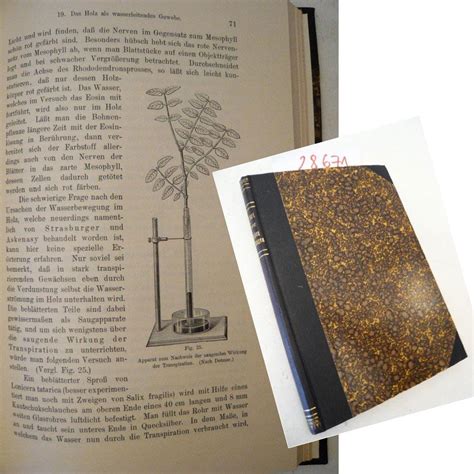 Anleitung zu botanischen beobachtungen und pflanzenphysiologischen experimenten. - Mercury classic 50 45hp manual 1989.