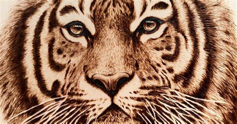 Anna Arts Leaked [CLIP] 😈 22 Videos