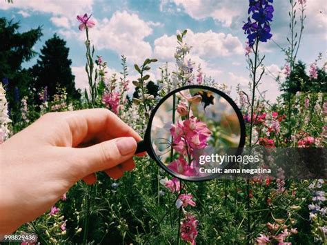 😈 Anna Blossoms Onlyfans Leak (SEX) 181 Videos