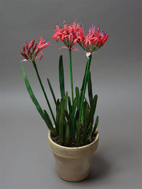 🔥 (SEX) Anna Miles Onlyfans Leak