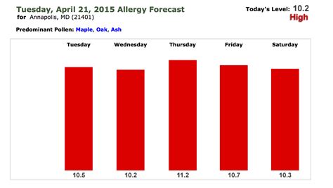 Is tree pollen going to affect your allergi