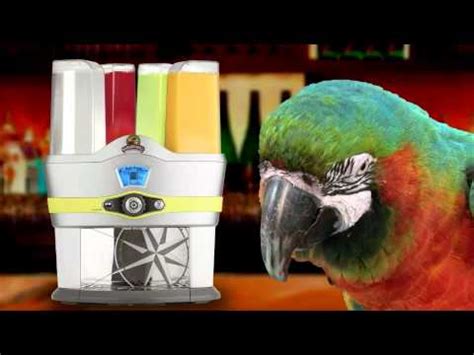 🍑 Annatrapcat Onlyfans Leak PORN 32 Pics