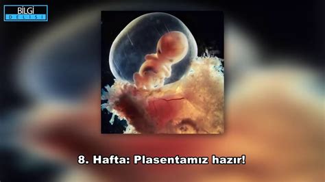 Anne Karnındaki Bebeğin Gizemleri TikTok. 