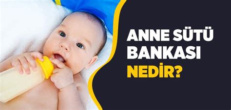 Anne Sütü Bankası .