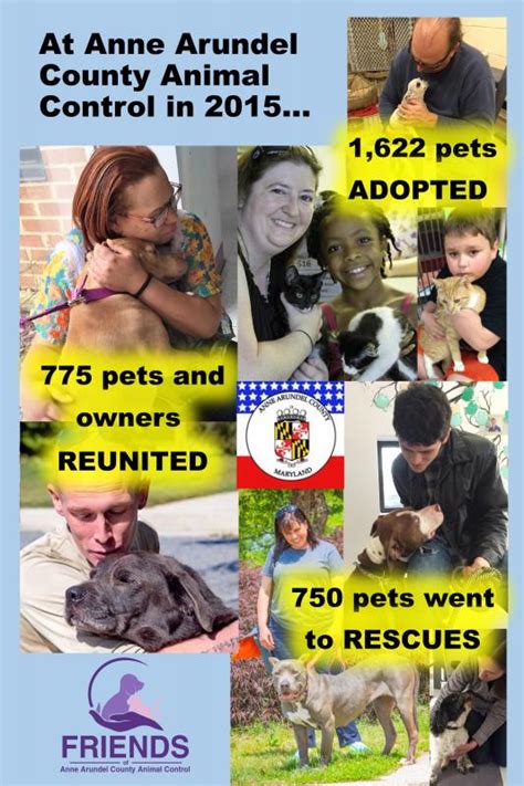 Anne arundel animal control. Things To Know About Anne arundel animal control. 