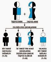 veodersti.rgarabwor.edu.pl. 