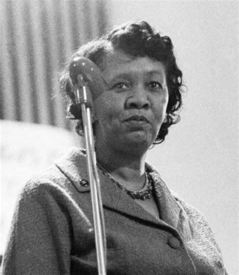 Annie Lee Cooper &mdash; Wikipedia Republished // WIKI 2