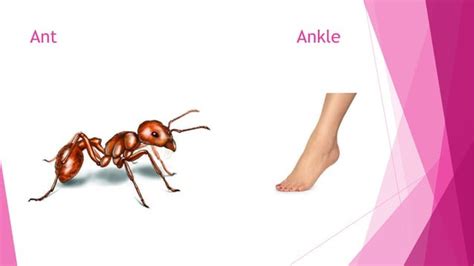 Annie_Aa Onlyfans Leaked +18 😈 166 Pics