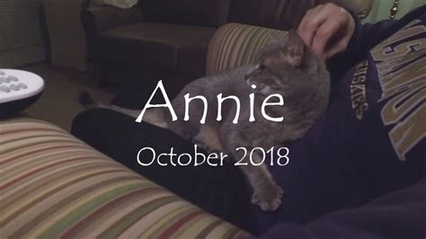 Anniecatt Onlyfans Leak