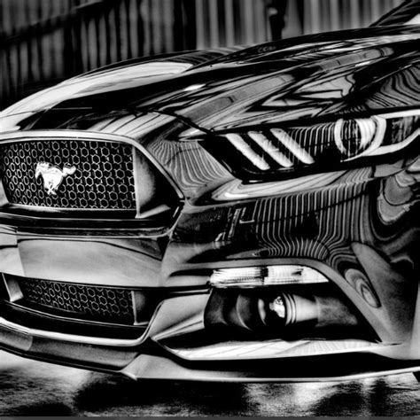 🍑 Annierevolution Leaked [HD]