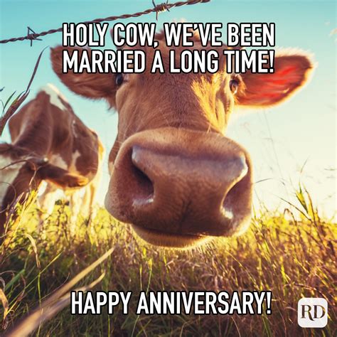 Jan 25, 2020 · We have rounded off more than 50 of the funniest anniversary memes, images, jokes, quotes for all types of anniversary and special occasions. A little humor and pun can cheer up married couples, boyfriend, girlfriend, husband or wife to brighten your special day. Also See: Funny Anniversary Quotes. . 