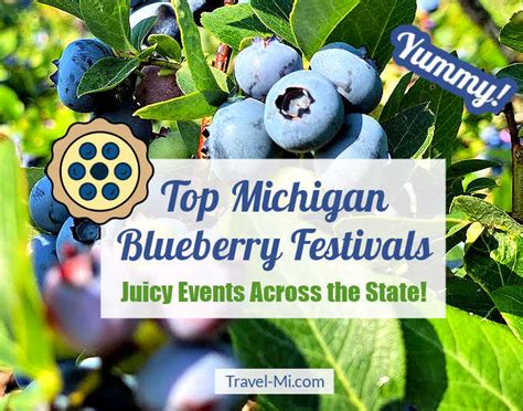 Annual Blueberry Festival & Market To Go - Discover Lehigh Valley