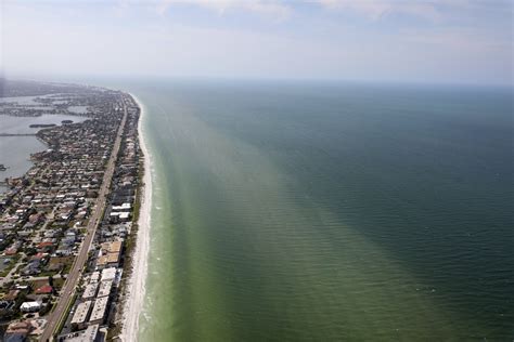 Annual Indian Rocks Beach Fest cancelled due to red tide concerns