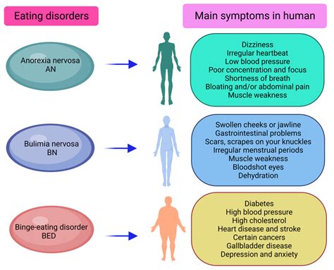 Anorexia And Bulimia