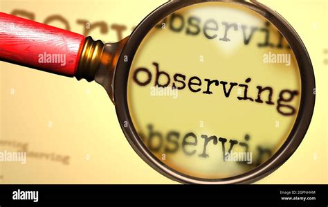 Another Word For Observing
