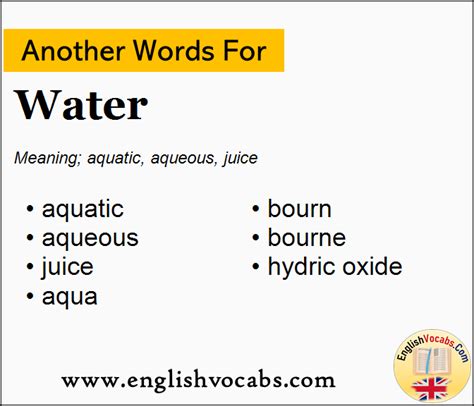 Another Word For Water Container