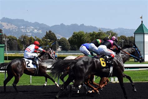 Another racehorse dies at Golden Gate Fields