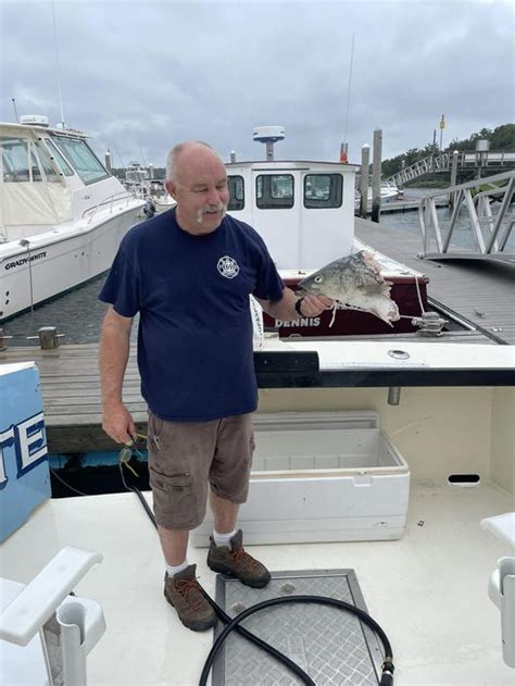Another report of a shark in Cape Cod Bay leaping out of the water to grab striper on fishing line: ‘It was just incredible’