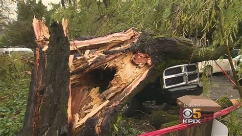 Another storm hits Bay Area: One killed by fallen tree in Walnut Creek