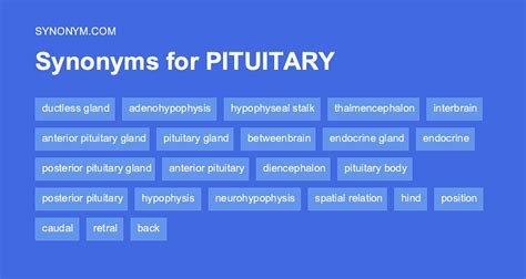 Another word for PITUITARY GLAND > Synonyms & Antonyms