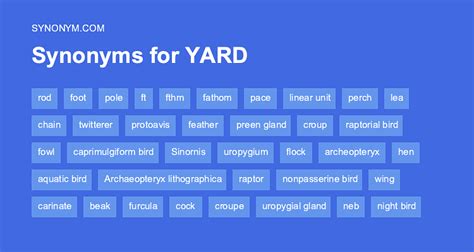 Another word for YARD > Synonyms & Antonyms