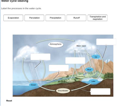 Answer For Labeling The Water Cycle