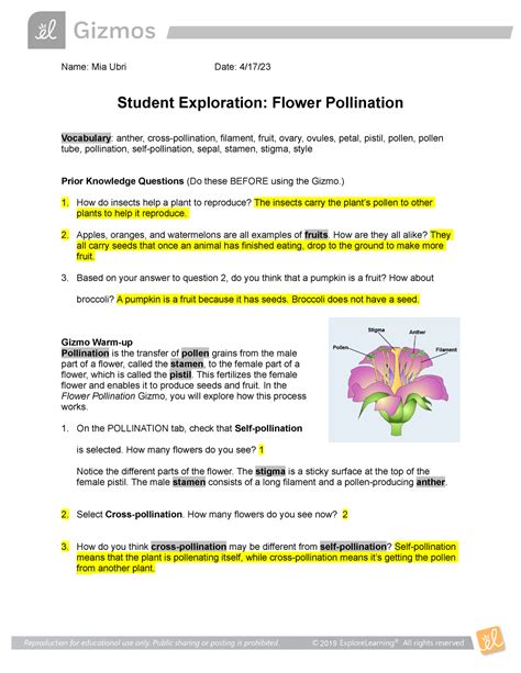 Answer For Student Exploration Flower Pollination