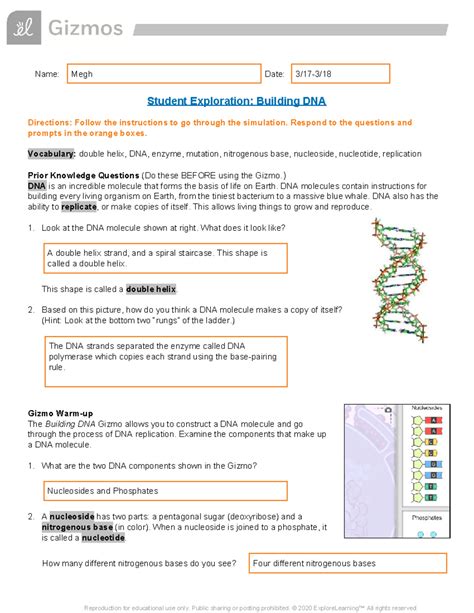 Answer Key Dna Gizmo