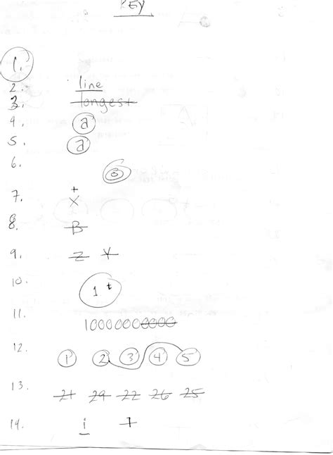 Answer Key Test Literacy