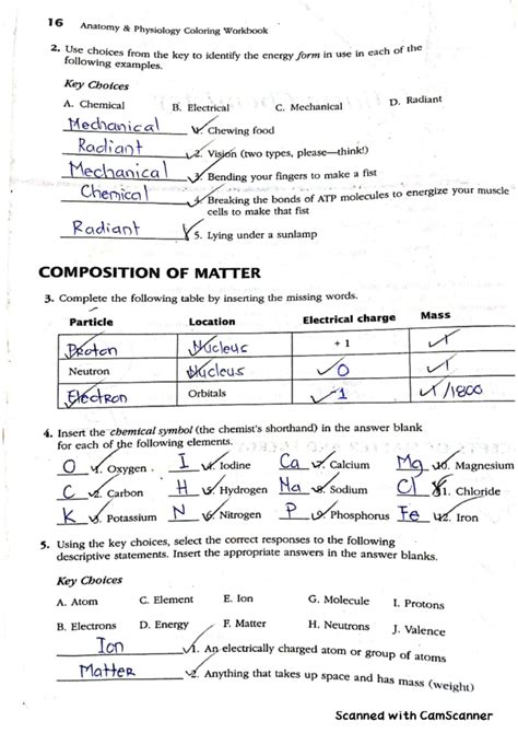 Answer Key To Anatomy And Physiology Coloring Workbook Anato