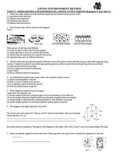 Answer Key Topic 4 Living Environment Review