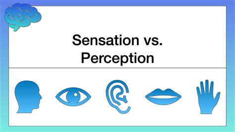 Answer Perception Sensation