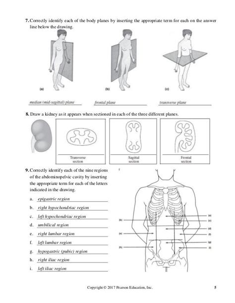 Answer key to human anatomy laboratory manual with cat. - 2002 2008 ktm 50 ac lc 2 stroke motorcycle repair manual.