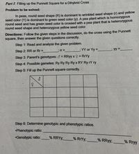 Answered: Name the following (i) A seed in which… bartleby