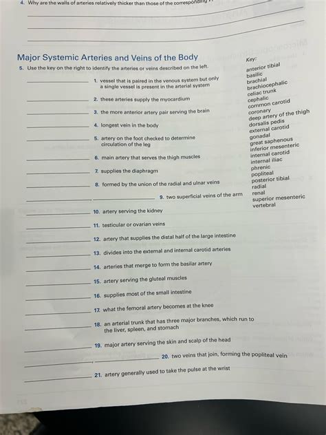Answered Major Systemic Arteries and Veins of… bartleby